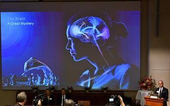 unalga e una luce blu cosi e nata la scoperta che ha vinto il nobel per la medicina 2026 2
