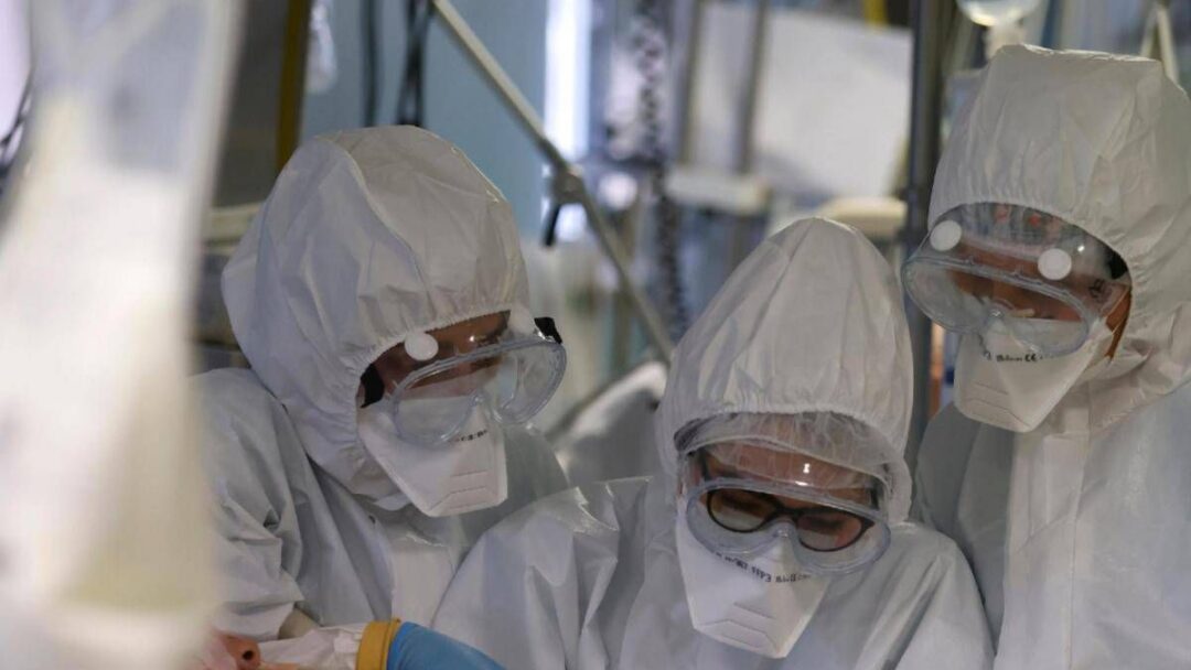 virus shamonda no casi umani in italia attenzione rafforzata la circolare del ministero dell a salute 2