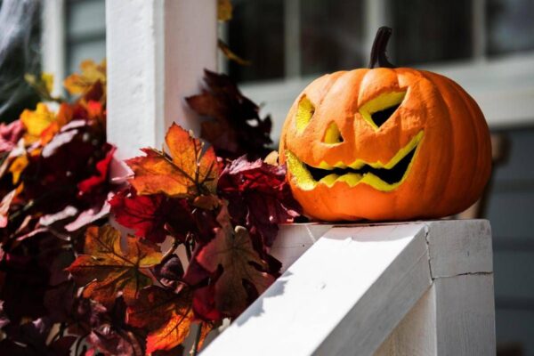 Zucca e semi di zucca: il lato sorprendente (e sano) di Halloween