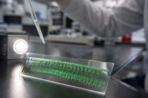 Come la luce può riacquistare la vista: la promessa dell’optogenetica