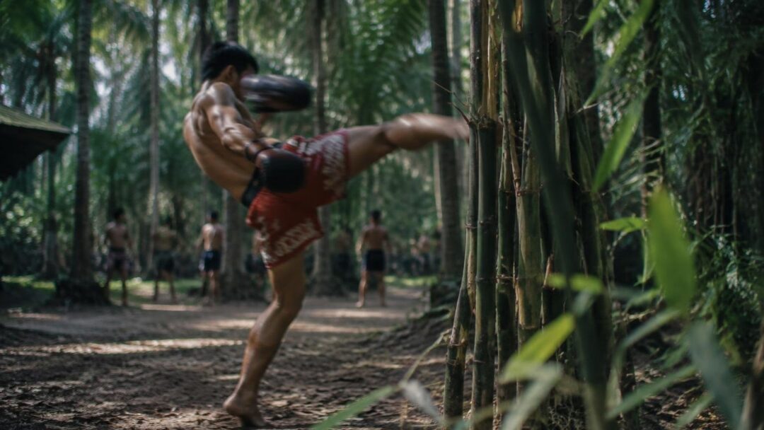Muay Thai a Koh Phangan: allenamento illimitato, alloggio e recupero
