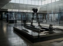 Scopri la mostra “La scienza che muove lo sport” al MUSE
