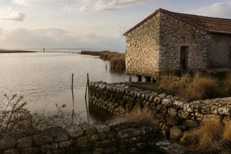 Come impostare alert e proteggere casa in laguna