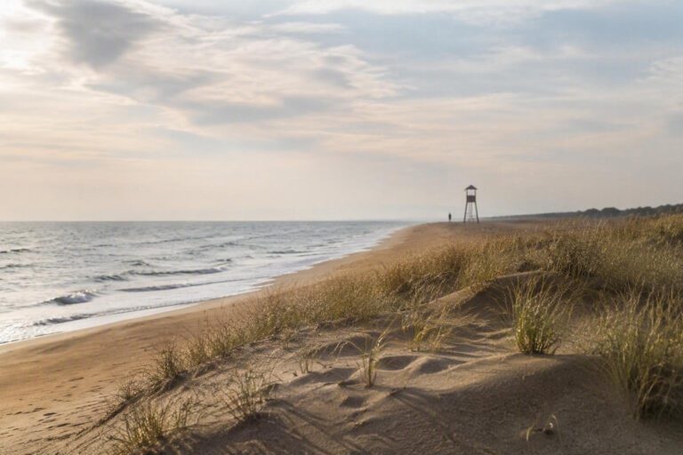 Prevenzione annegamenti a Jesolo: esercitazioni e servizi per una vacanza sicura