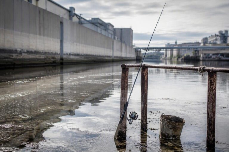 Corpo senza vita scoperto in una canaletta industriale di Marghera