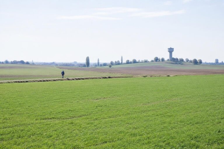 Veneto: allerta gialla domani sulla Pianura Orientale