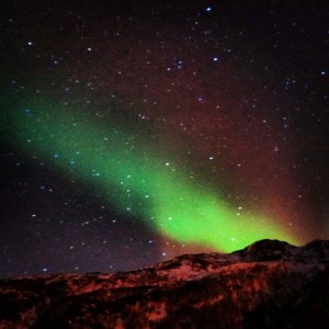 IMG 7677