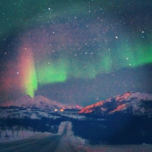 IMG 7678