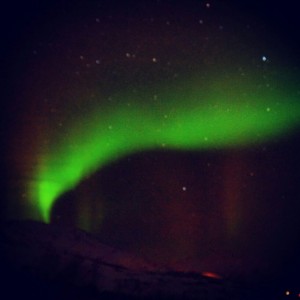 IMG 7679
