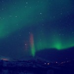 IMG 7680