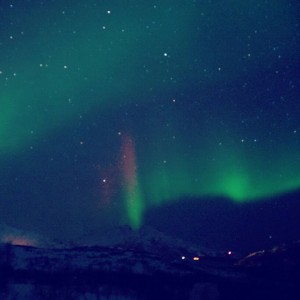 IMG 7680