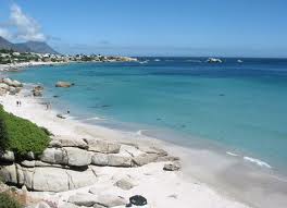 images 11