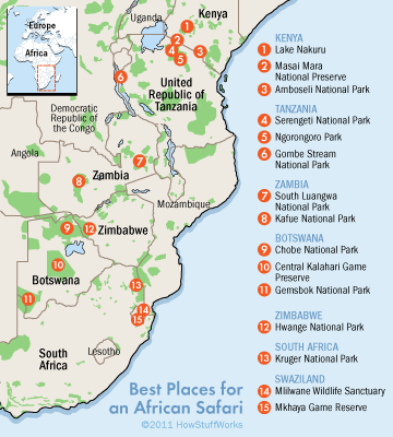 safari locations 1