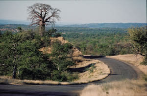 kruger