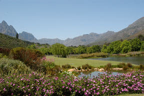 winelands