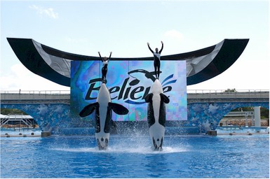 SeaWorld Believe