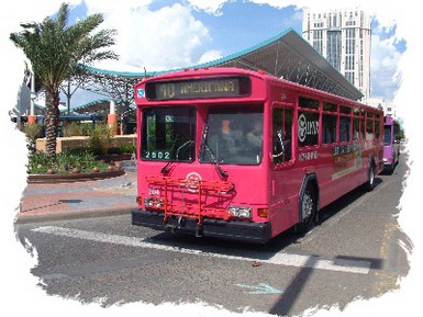 orlando lynx