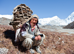 sherpa porter