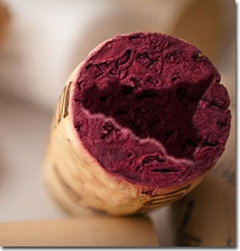 vino sicilia
