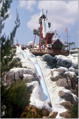 wdw blizzardbch4