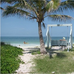 honeymoonisland beachswing