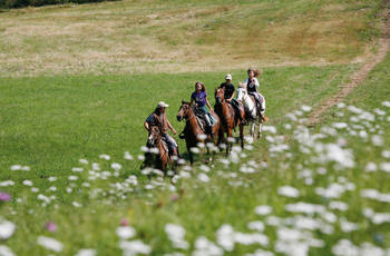 passeggiata a cavallo 1395324010386