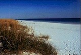 pensacolabchsm