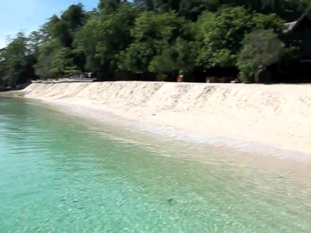 snakeisland