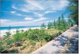 southwestpath1