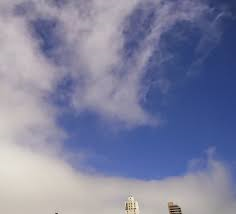 untitled 116