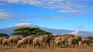 Vaccinazioni obbligatorie Kenya