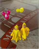 wdw rainyday