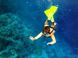 snorkeling