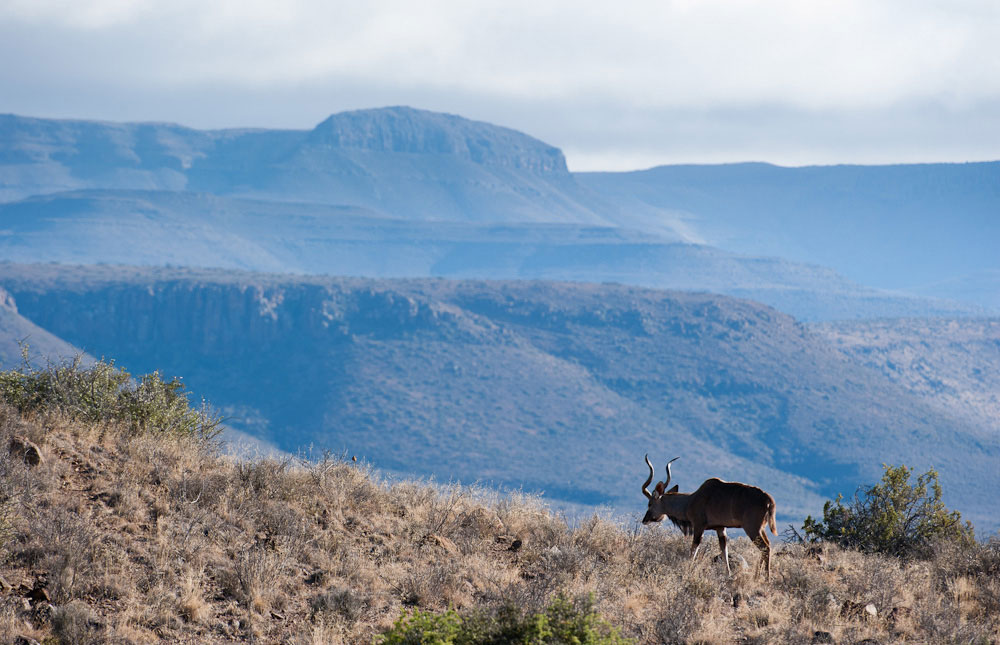 Karoo National Park 005