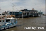 cedarkey1a