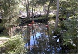 homosassa8a