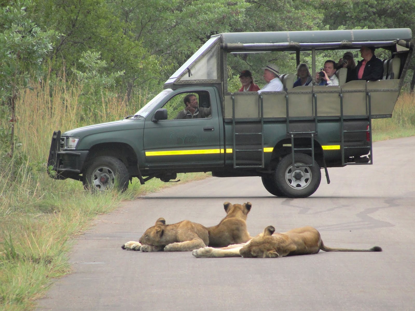 kruger park 7 3 10 054