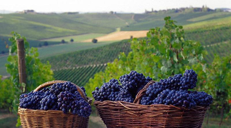 langhe