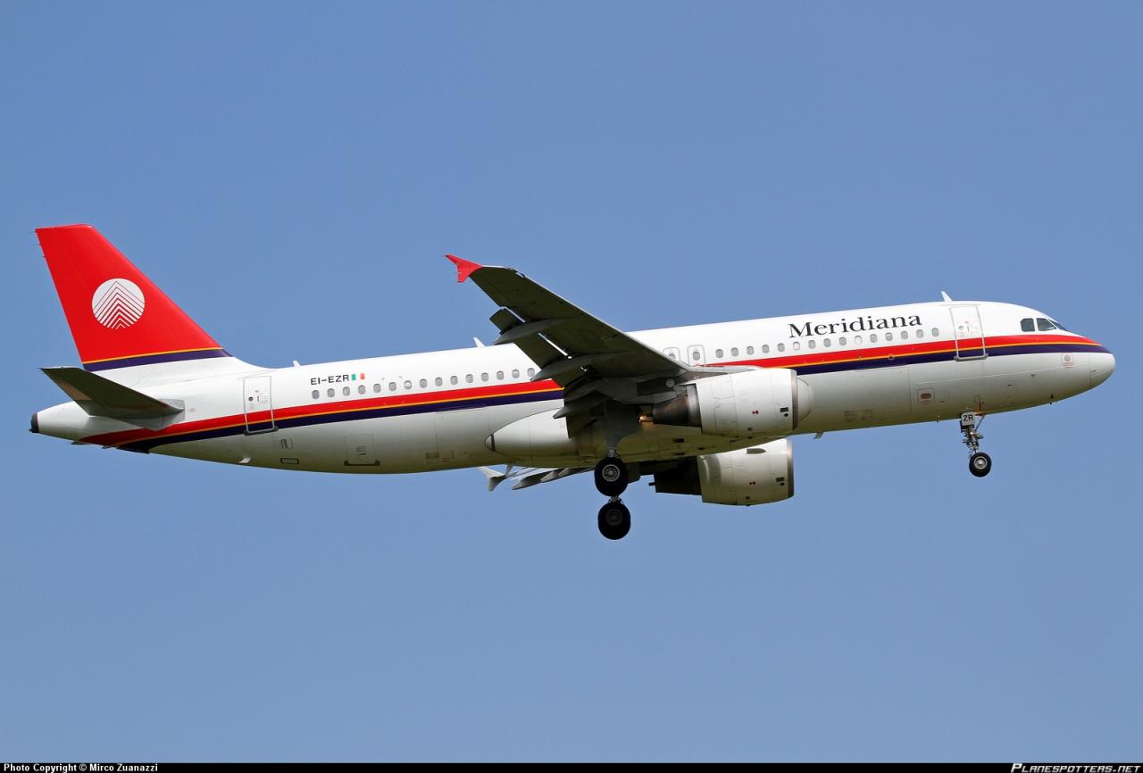 biglietto aereo cane Meridiana
