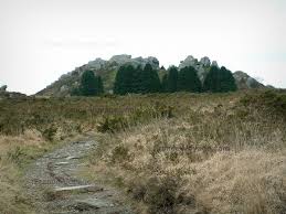 parco regionale darmorique