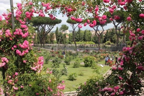 roseto comunlae