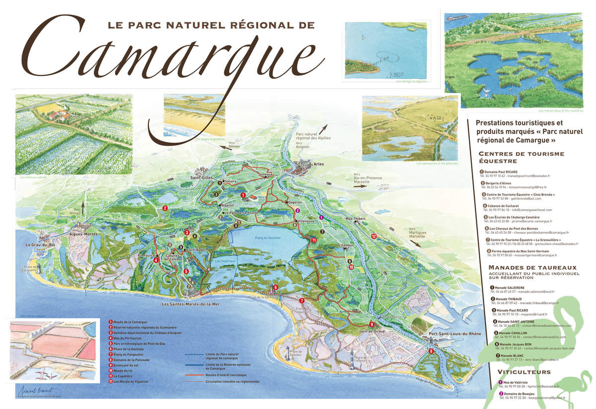 Depliant camargue fr 2010 2