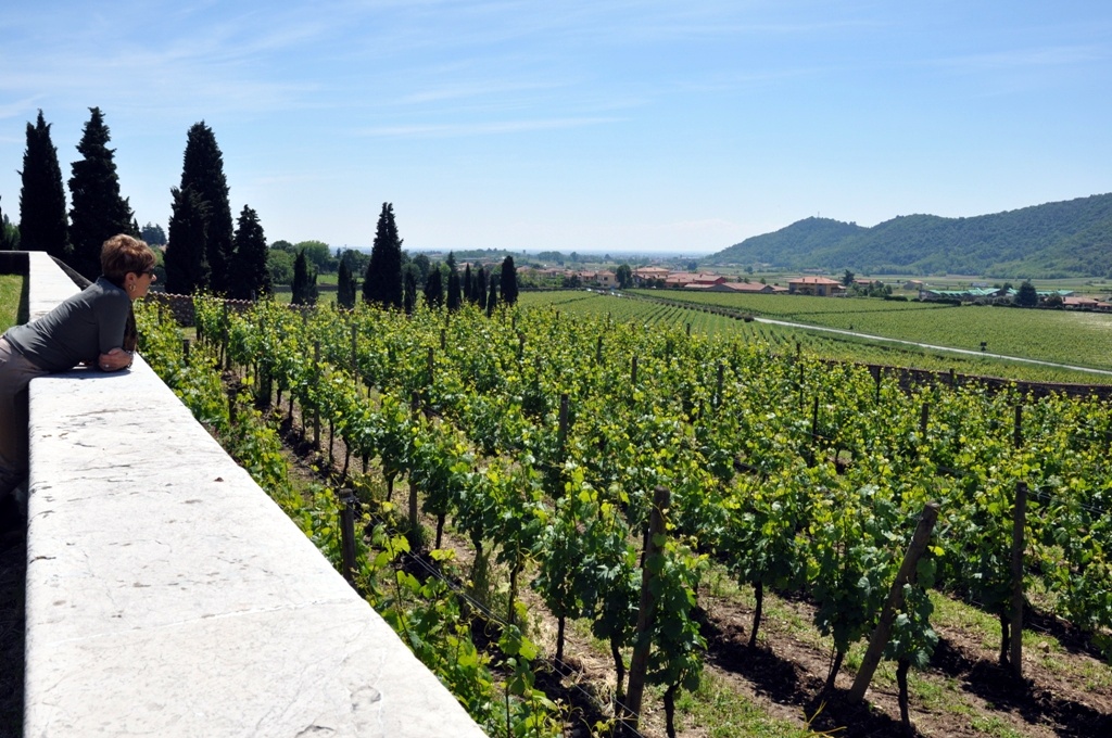 Weekend vendemmia Franciacorta