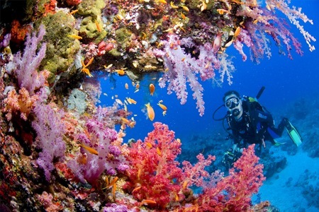 argentario