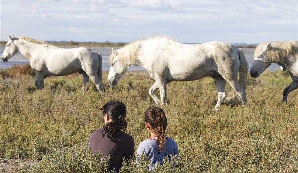 bambini Camargue Francia 980x571