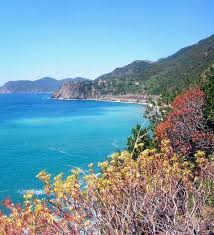 parco nazionale cinque terre n1