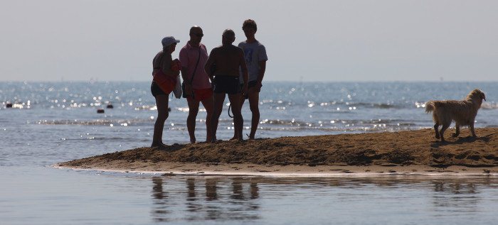 showreel spiagge per cani lido di fido