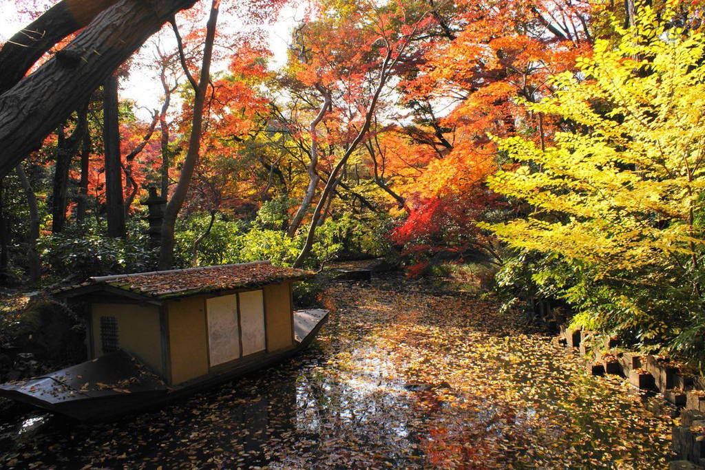 Arrivare a Gardens Nezu Museum Tokyo