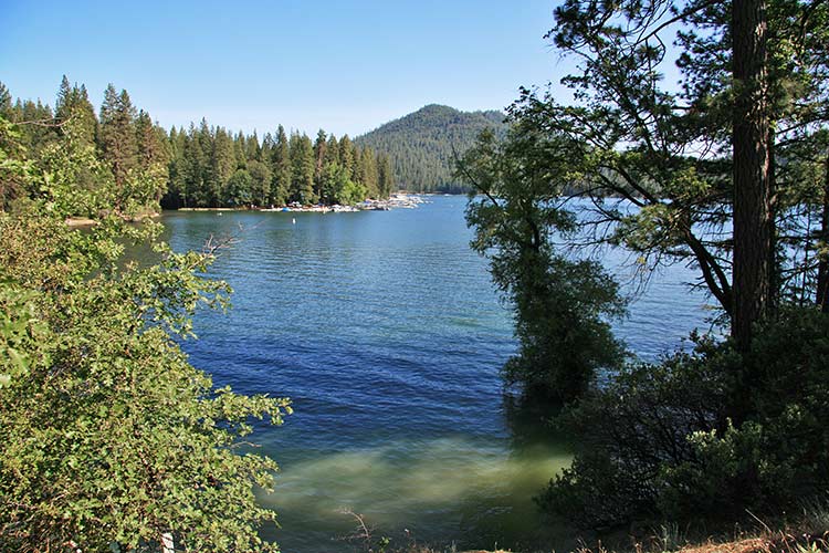 Clima Agosto Yosemite Park