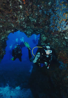 Dove fare Diving Ventotene